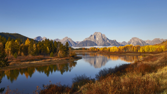 Oxbow Bend of the Snake River in Grand Teton National Park has to. Be one of the most iconic views in the world.  With my favorite mountain in the world, Mount Moran in the distance, reflecting in the river on a crisp autumn day, I can’t think of a more beautiful place to be.