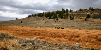 3_0Q8A0015Oct-07-2021_Mar-03-2024-2