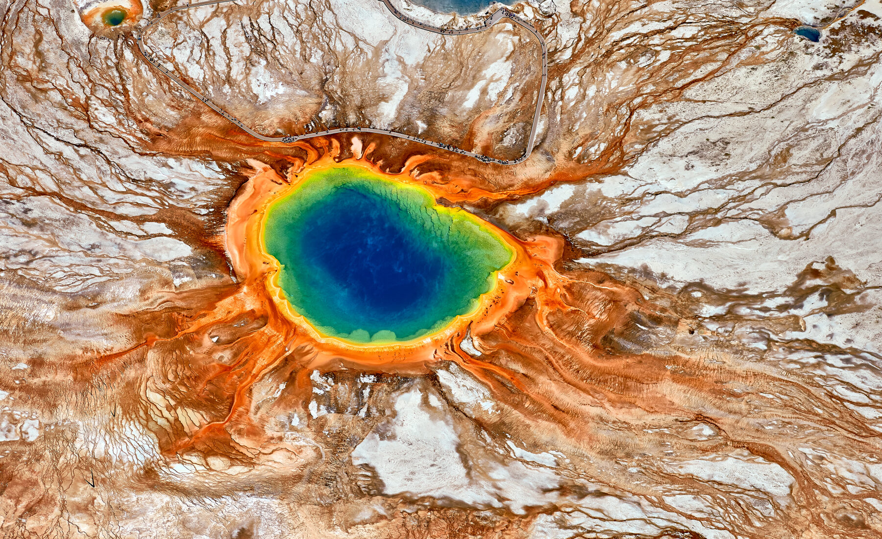 New Honors From the World Nature Photography Awards!