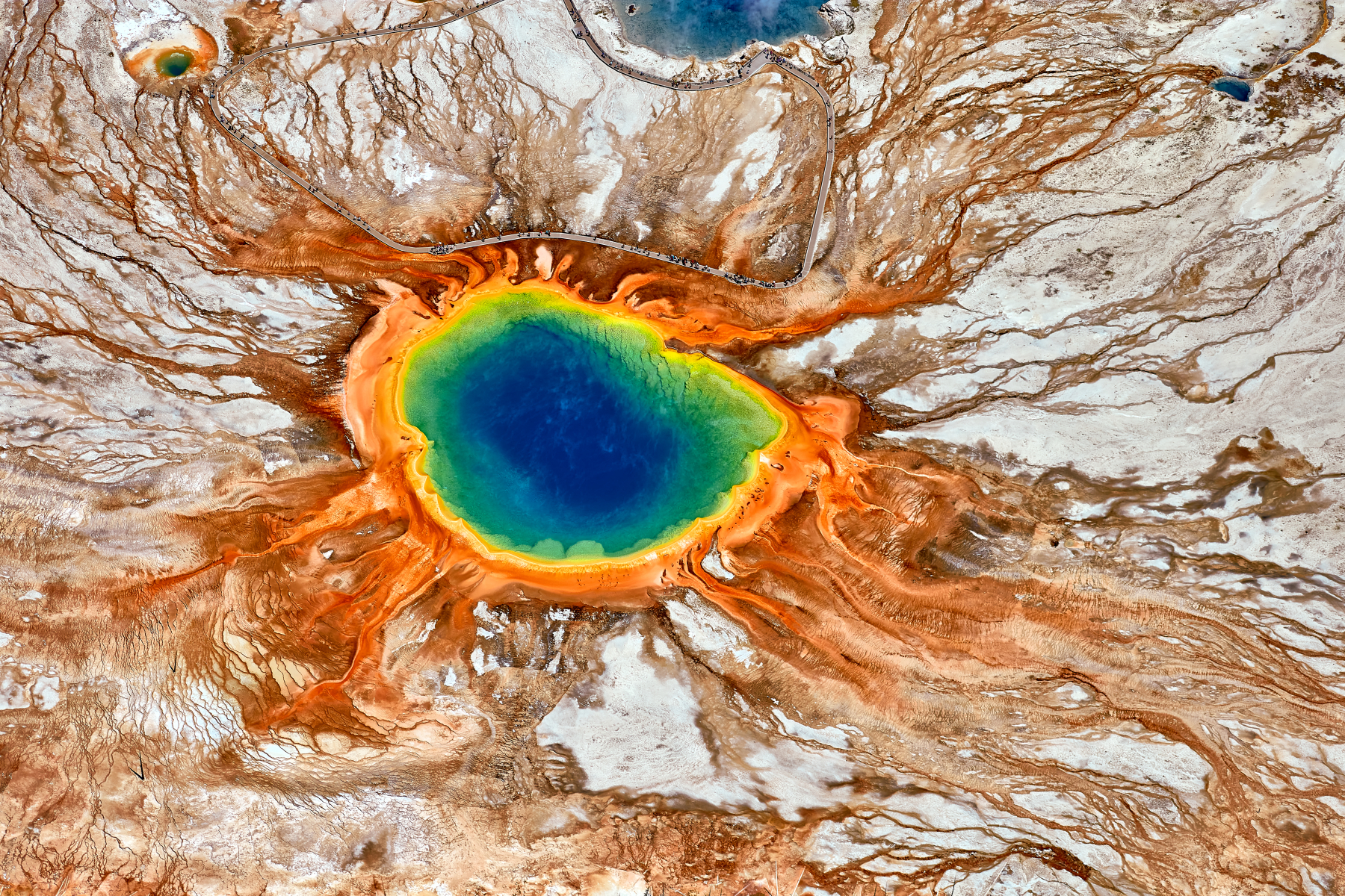 New Honors From the World Nature Photography Awards!